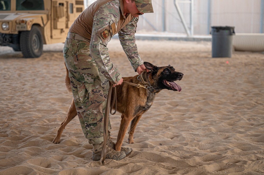 386th and 387th Expeditionary Security Forces Squadron celebrate Police Week