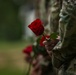 3rd SFG (A) Rose Laying Ceremony