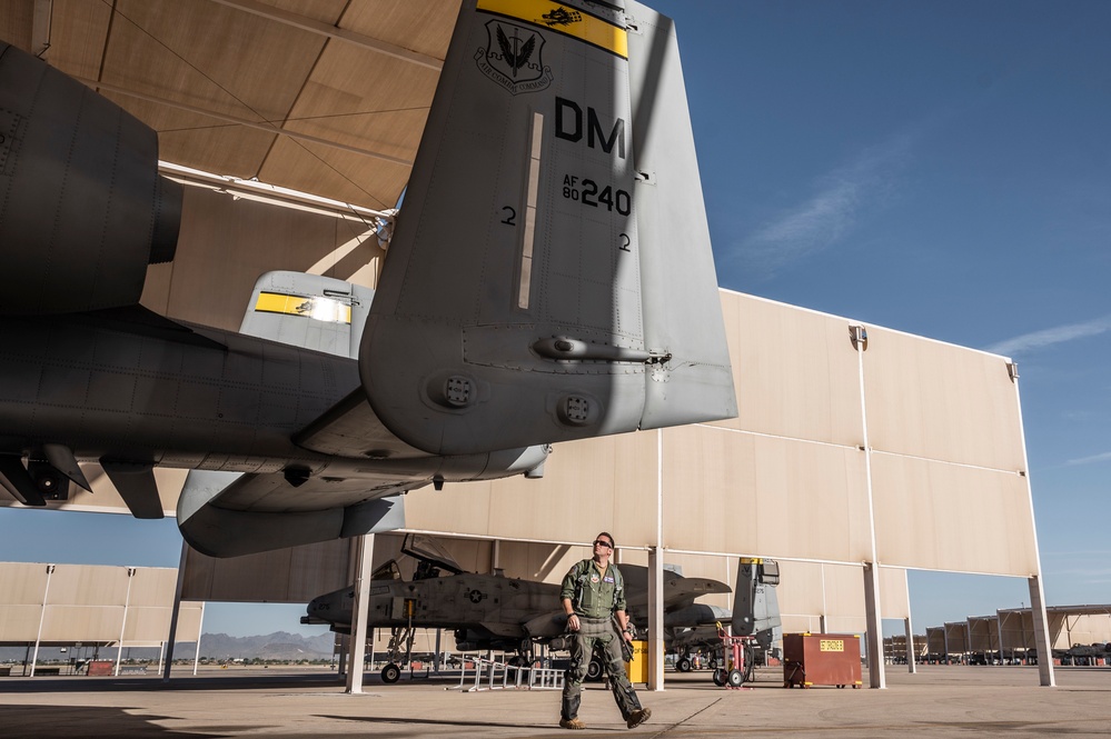 A pilot and his maintainer