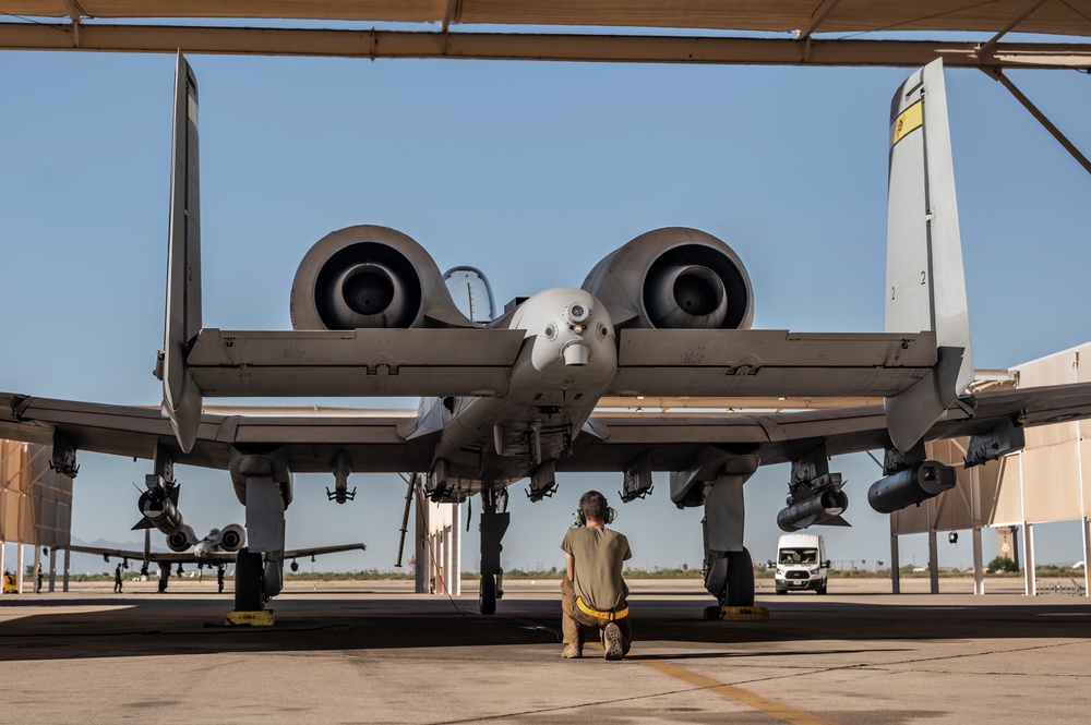 A pilot and his maintainer