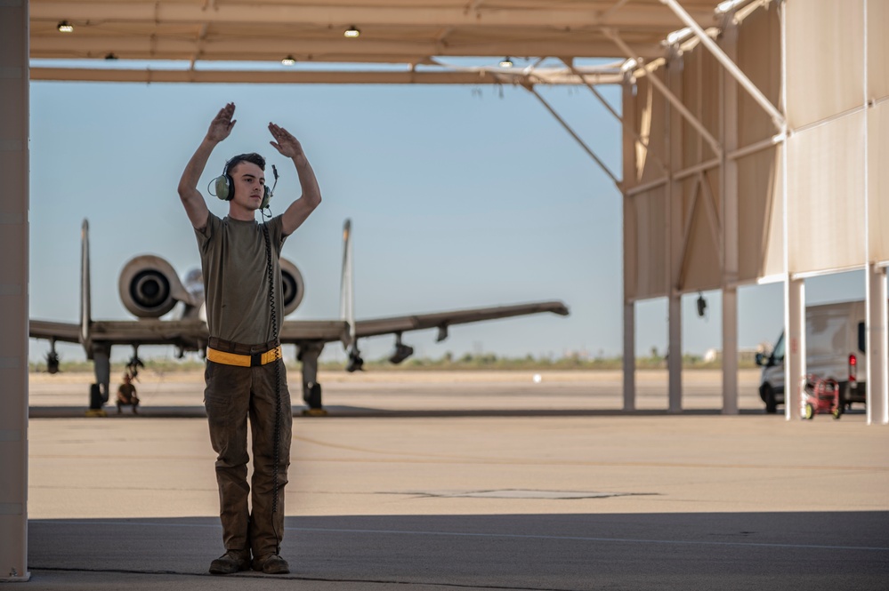 A pilot and his maintainer