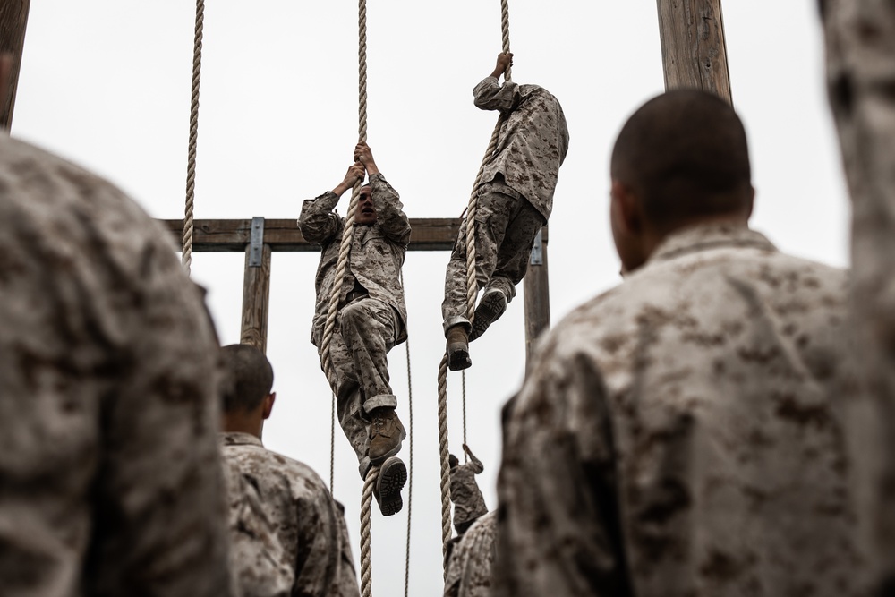 Delta Company Obstacle Course
