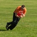 AMC Sports Day 2022