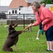 AMC Sports Day 2022