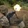 Bravo Company, 3rd LSB,  conducts convoys at Jungle Warfare Training Center