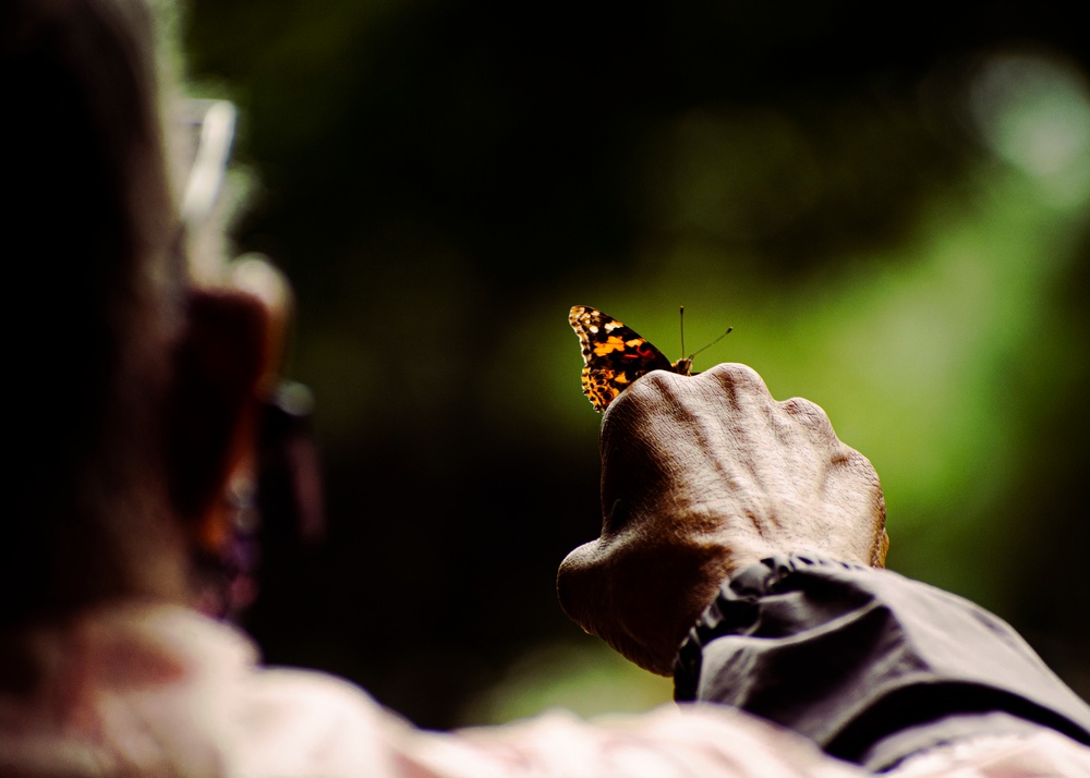 Gold Star Family members release butterflies ahead of Memorial Day