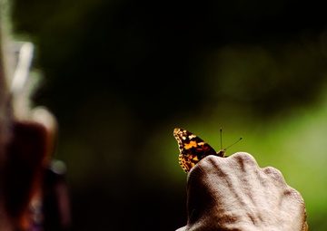 Gold Star Family members release butterflies ahead of Memorial Day