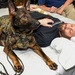 Facility Dogs Play a Vital Role in Recovery for Patients Across the MHS