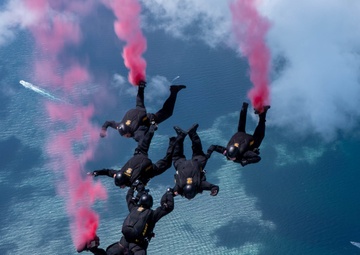 The U.S. Army Parachute Team jumps in Miami for Hyundai Air and Sea Show