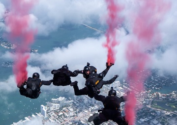 The U.S. Army Parachute Team jumps in Miami for Hyundai Air and Sea Show