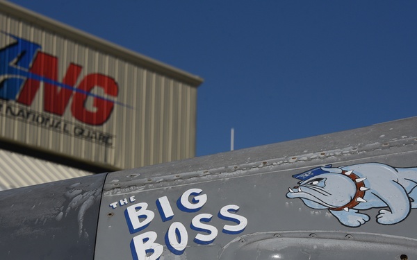 Big Boss nose art