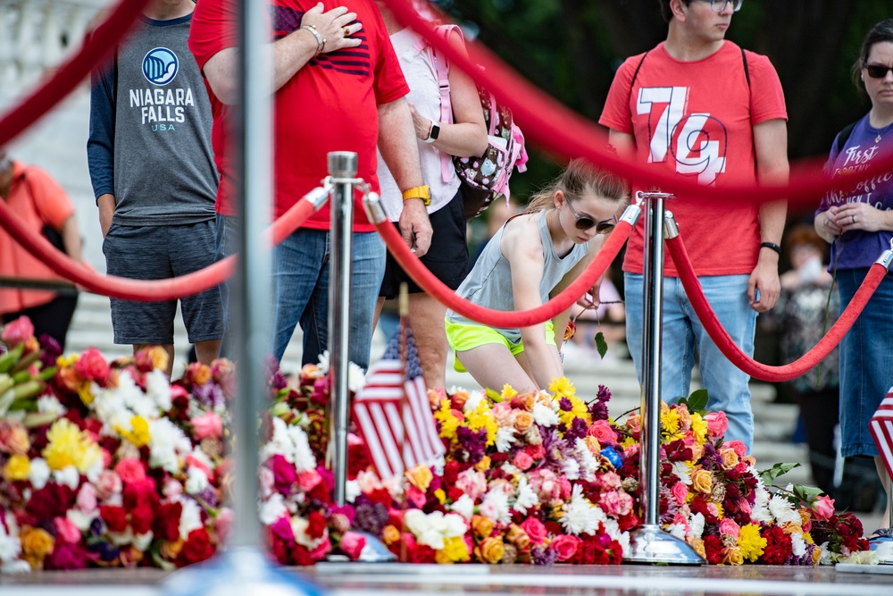 Flowers of Remembrance Day