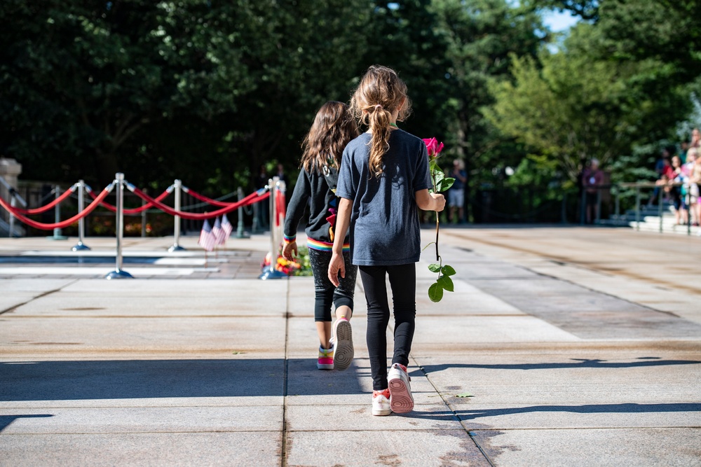 Flowers of Remembrance Day