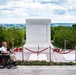 Flowers of Remembrance Day