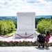 Flowers of Remembrance Day