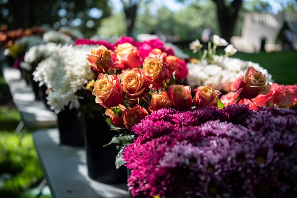 Flowers of Remembrance Day