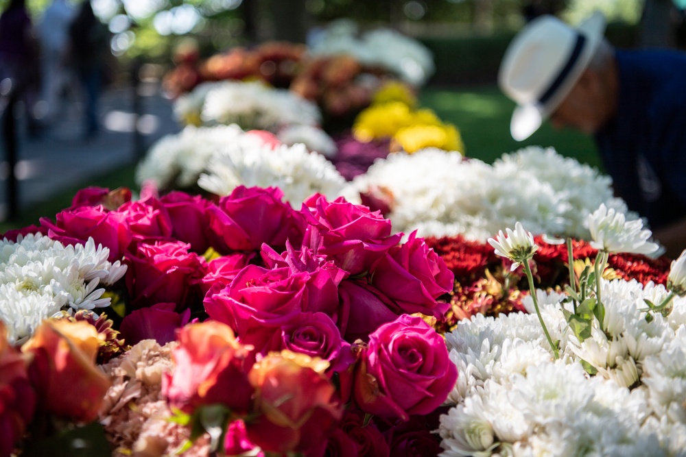 Flowers of Remembrance Day