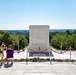 Flowers of Remembrance Day