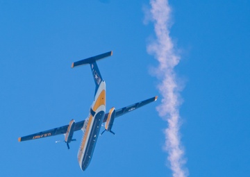 The U.S. Army Parachute Team jumps in Miami for Hyundai Air and Sea Show