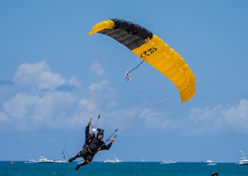 The U.S. Army Parachute Team jumps in Miami for Hyundai Air and Sea Show