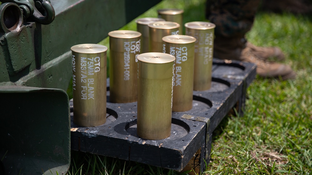 Memorial Day 21-Minute Gun Salute