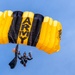Bethpage (US Army Golden Knights)