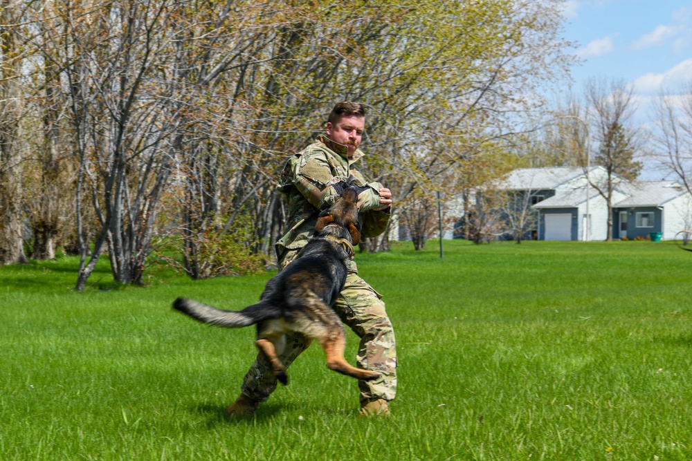 K9 Demo