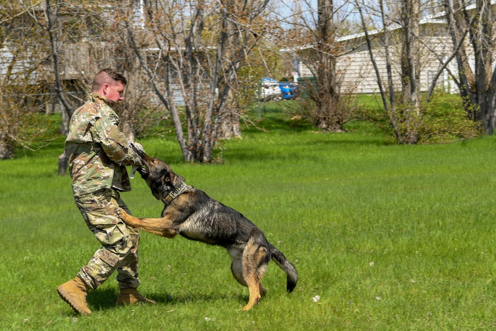 K9 Demo