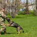 K9 Demo