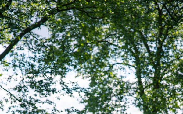 German Memorial Day Ceremony