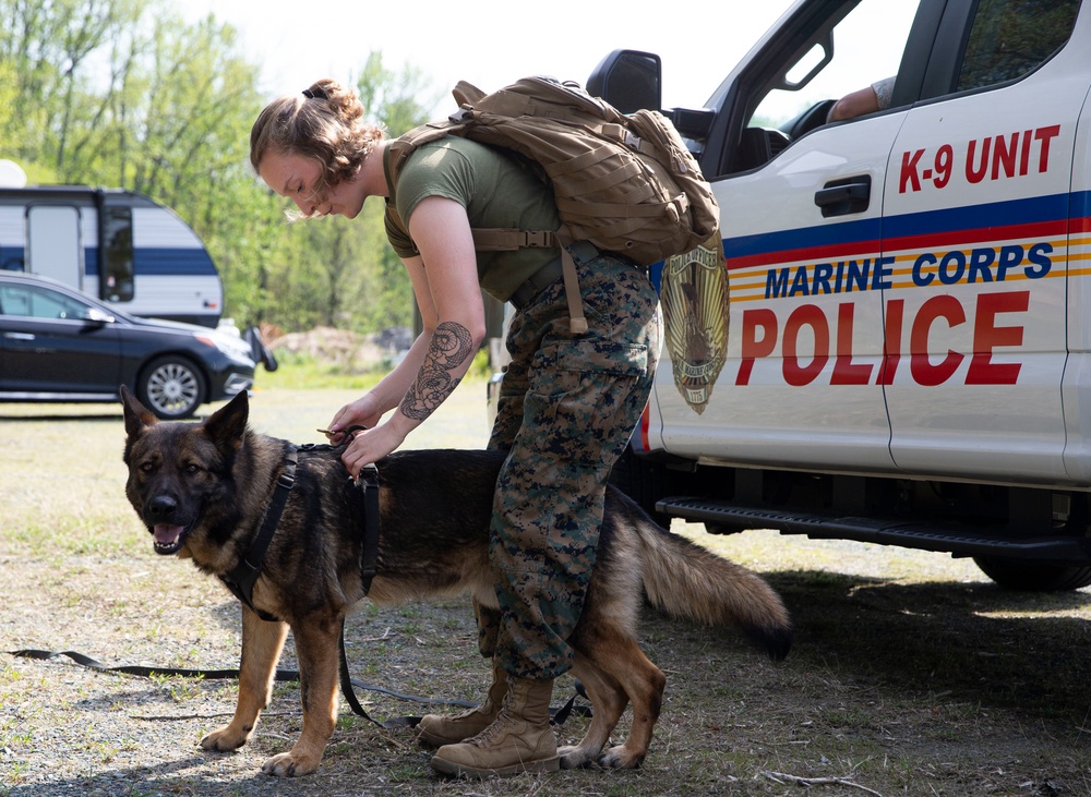 MCB Quantico Military Working Dog Scent Scout Training