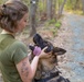 MCB Quantico Military Working Dog Scent Scout Training