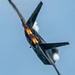 Bethpage Air Show - F-22 Demo Team