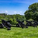NMDO 21 Gun Salute