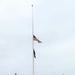 American Flag and Fort McCoy