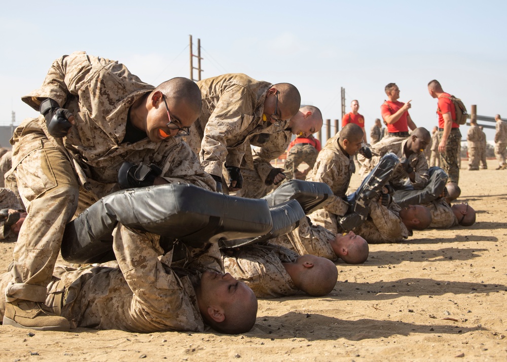 DVIDS - Images - Delta Company Combat Conditioning Course [Image 3 of 5]