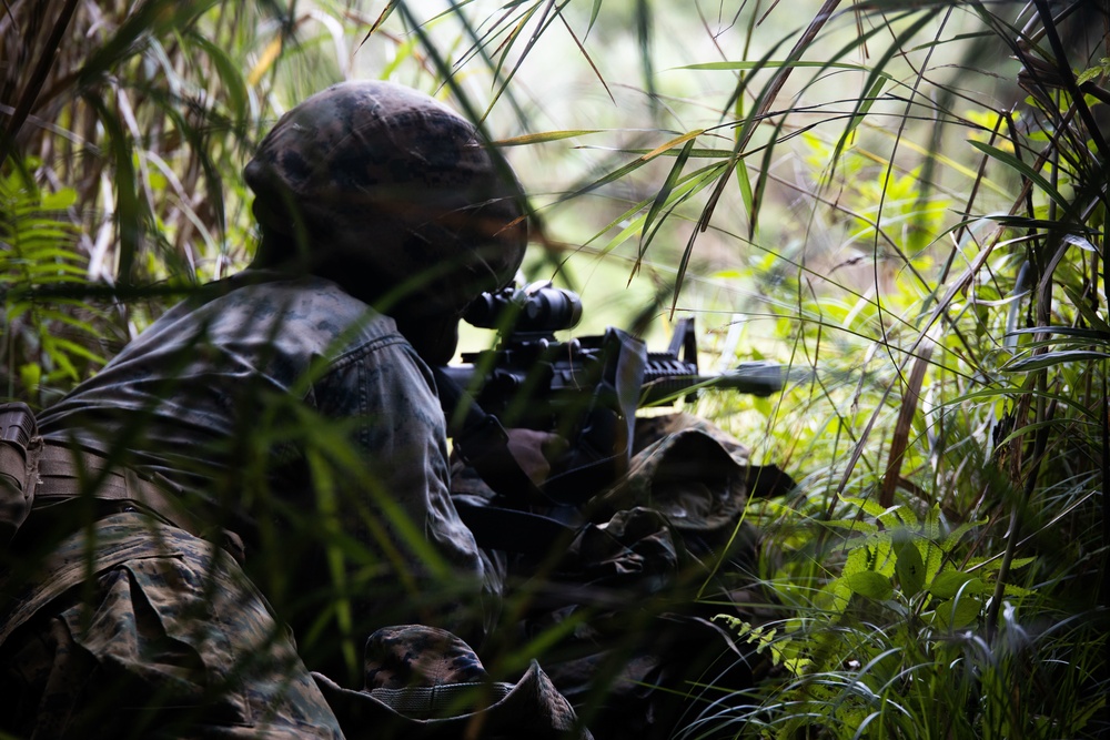 7th COMM. Bn. Basic Jungle Survival Skills Course