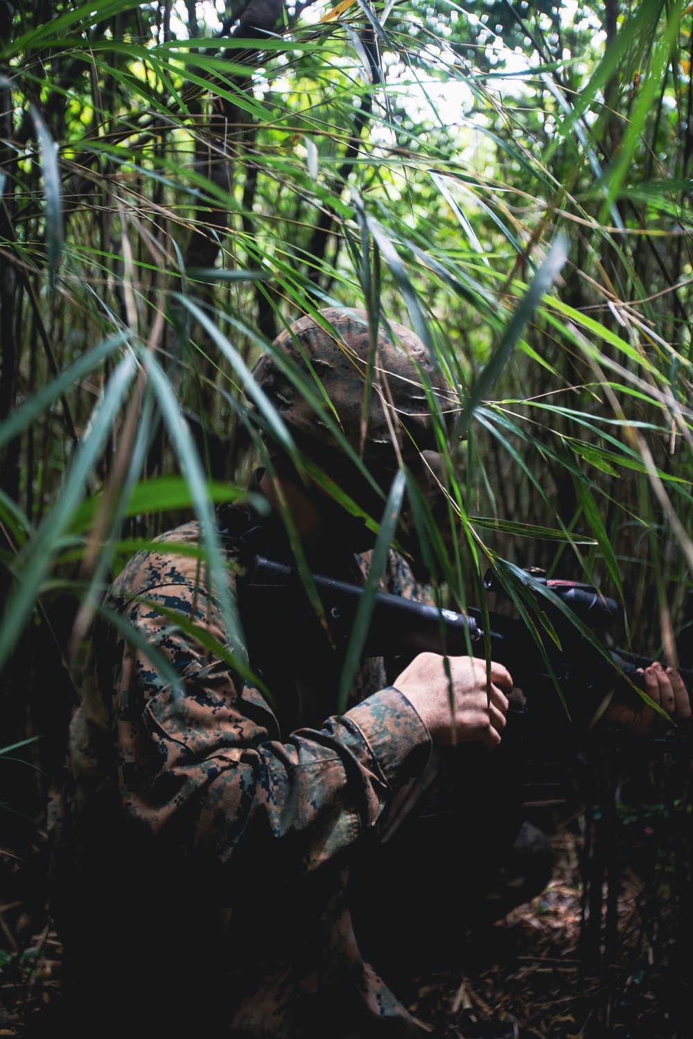 7th COMM. Bn. Basic Jungle Survival Skills Course