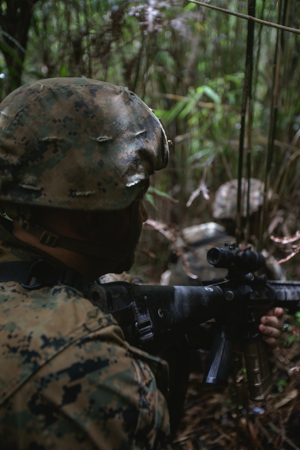 7th COMM. Bn. Basic Jungle Survival Skills Course