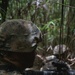 7th COMM. Bn. Basic Jungle Survival Skills Course