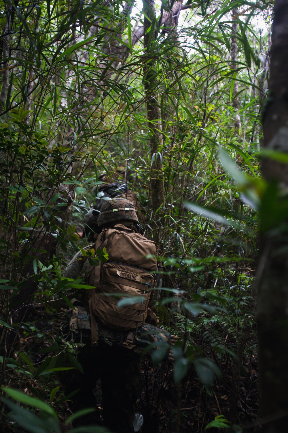 7th COMM. Bn. Basic Jungle Survival Skills Course