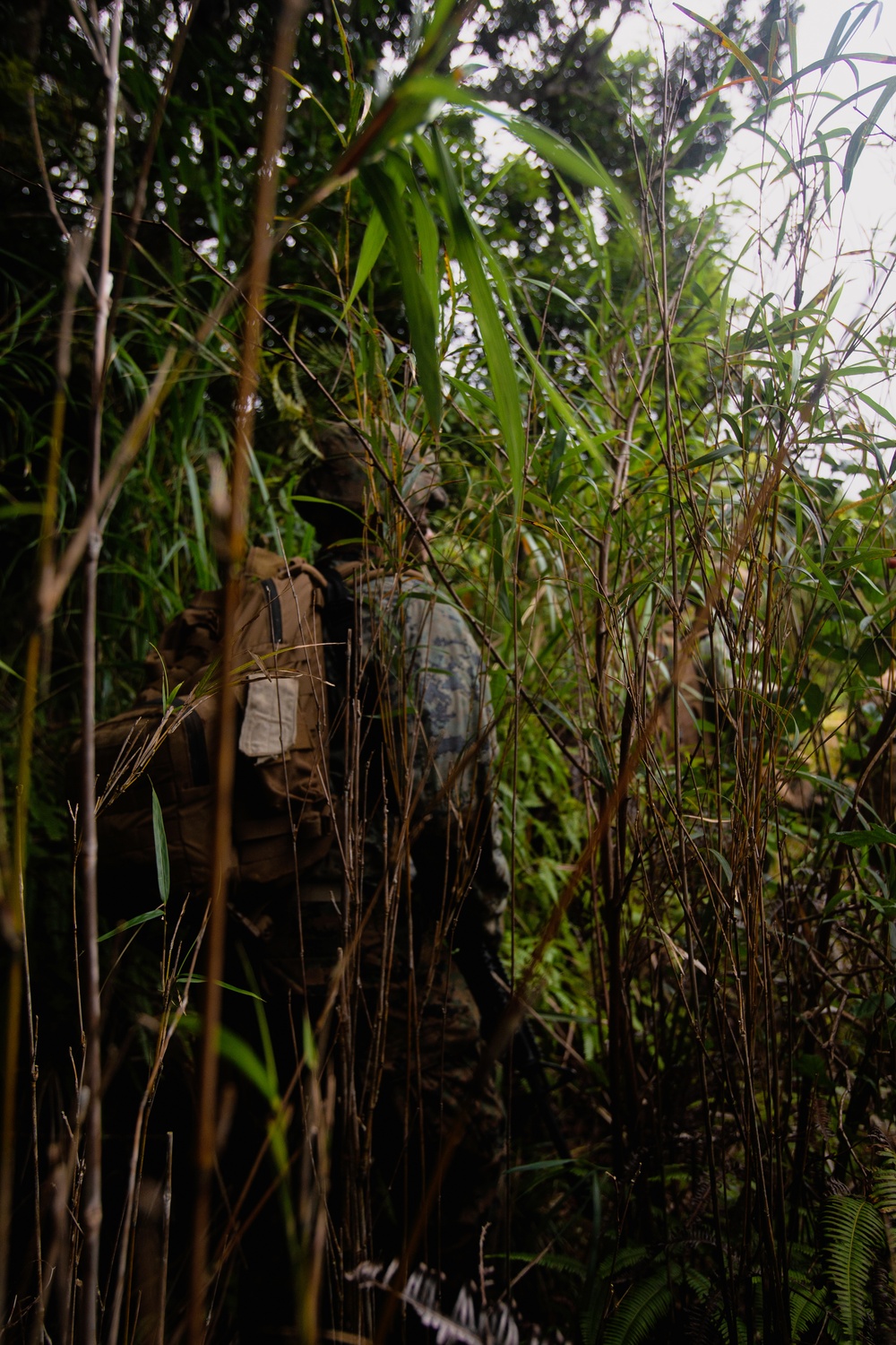 7th COMM. Bn. Basic Jungle Survival Skills Course