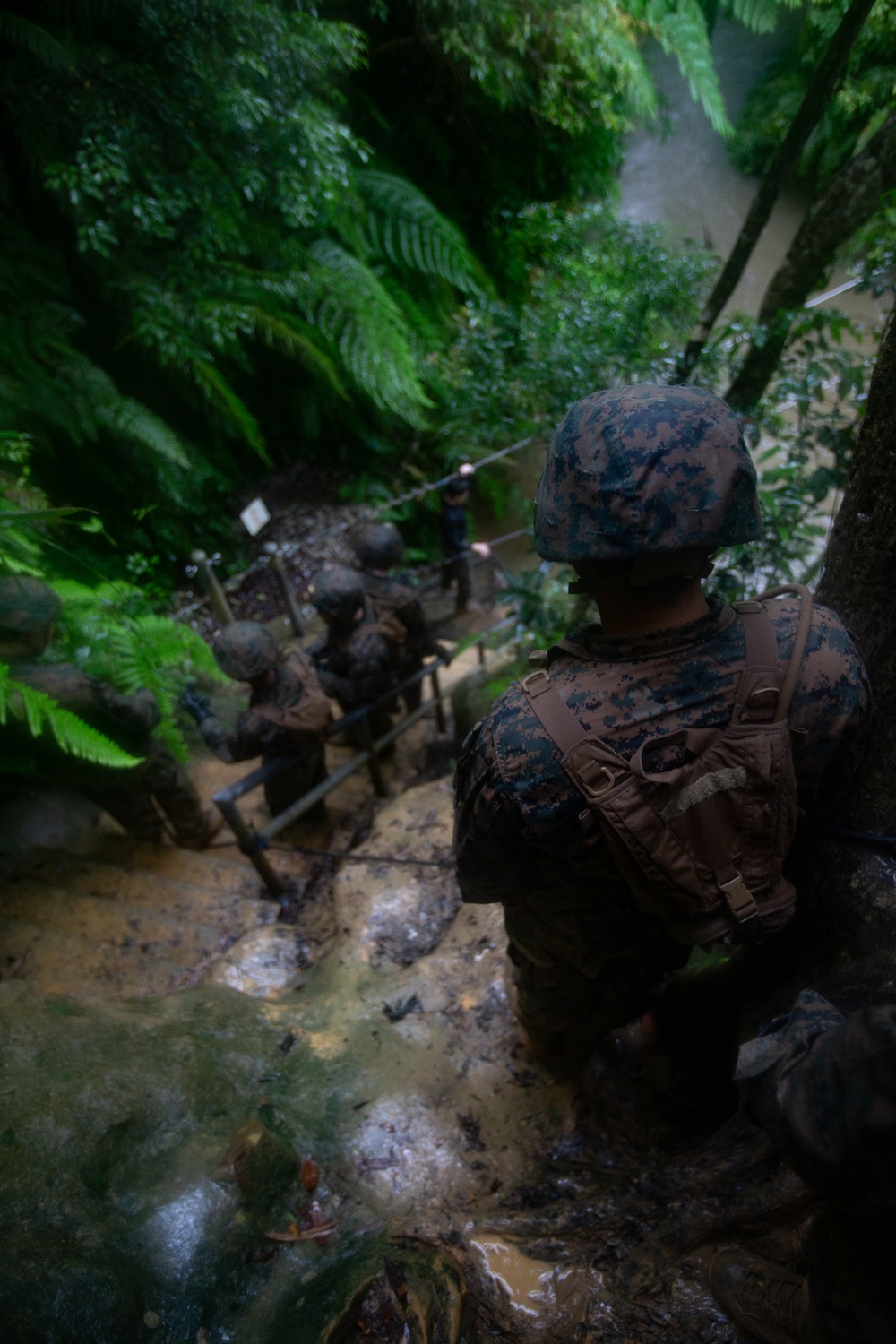 7th COMM. Bn. Basic Jungle Survival Skills Course