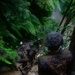 7th COMM. Bn. Basic Jungle Survival Skills Course