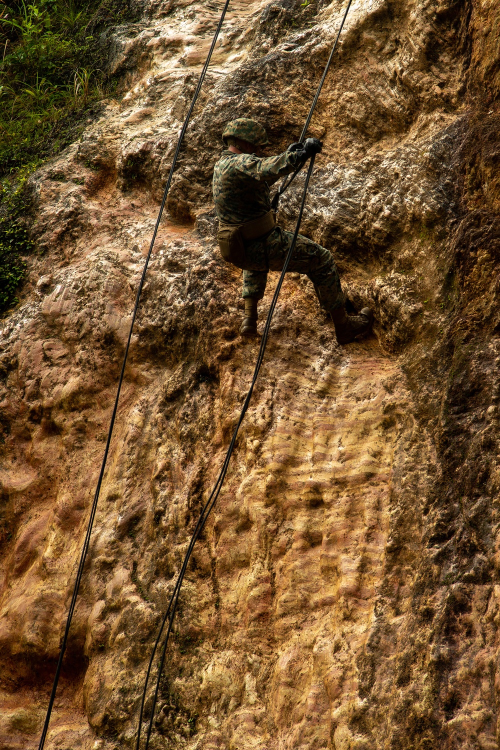 7th COMM. Bn. Basic Jungle Survival Skills Course