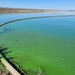 Harmful Algal Bloom closes all recreation at Marion Reservoir