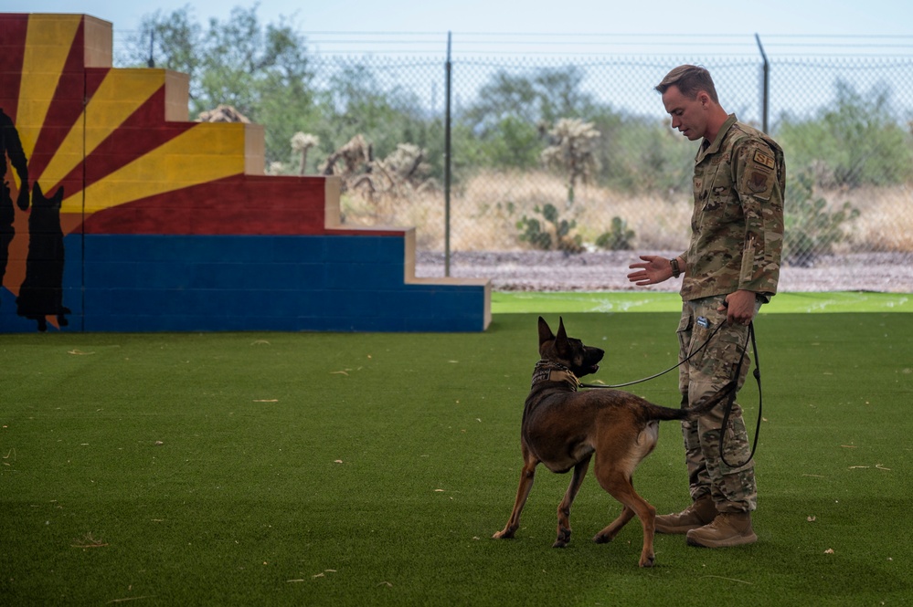 MWD: the beast defender