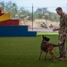 MWD: the beast defender