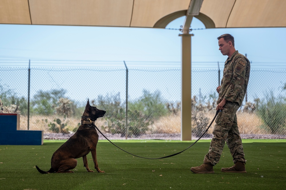 MWD: the beast defender