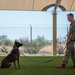 MWD: the beast defender